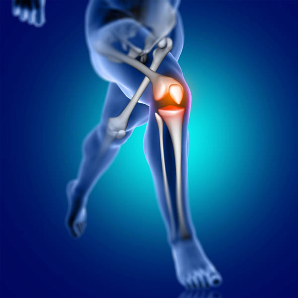 Cartilage & Joint formulations